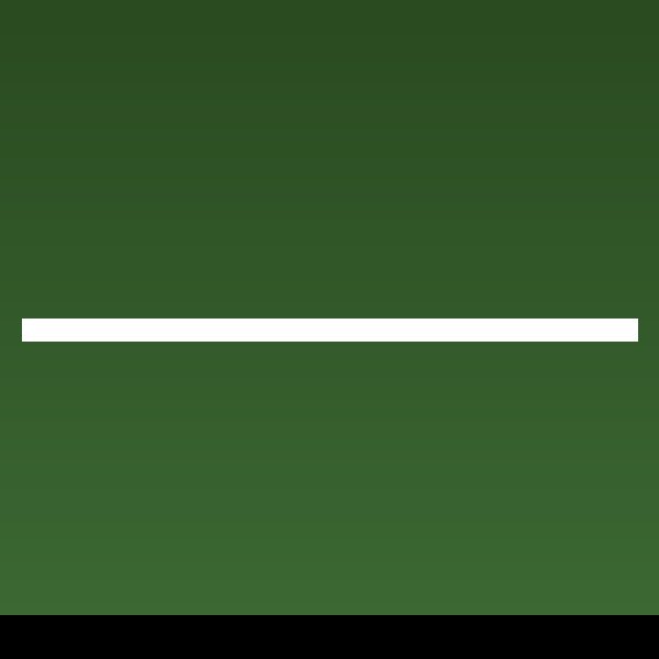 Juniper shohin, 14cm