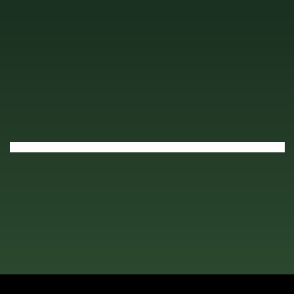 Hinoki cypress, formal upright