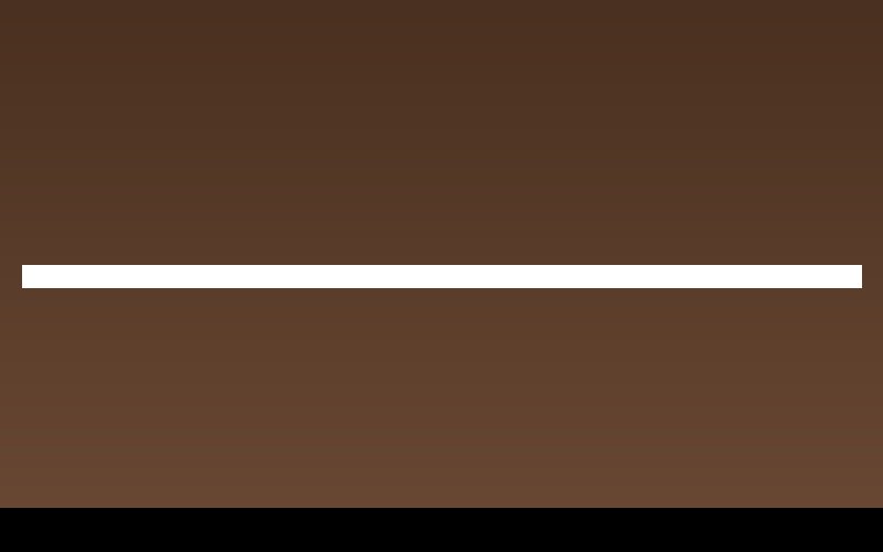 Bonsai workshop in progress